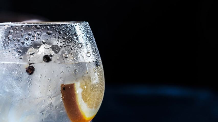 glass of water with ice, an orange slice and black berries